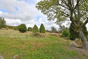 Manchester Road Hollow Meadows